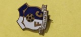 Insigna Fotbal Club Constanta