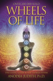 Wheels of Life Wheels of Life: A User&#039;s Guide to the Chakra System a User&#039;s Guide to the Chakra System