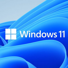 Windows 11 Home, stick USB bootabil cu licenta originala Retail, activare online