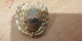 QW14 - Emblema militara / cuc - uscat - comunism - piesa de colectie