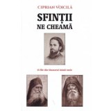 Sfintii ne cheama. 15 file din Sinaxarul inimii mele - Ciprian Voicila