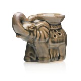 Cumpara ieftin Vas aromaterapie Ceramica - AR10 Maro