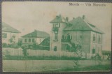 Movila, Vila Norocelu// CP