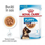 Cumpara ieftin Royal Canin Maxi Puppy hrana umeda caine junior (in sos), 140 g