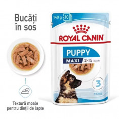 Royal Canin Maxi Puppy hrana umeda caine junior (in sos), 140 g