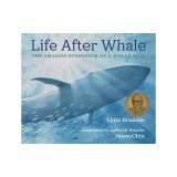 Life After Whale: The Amazing Ecosystem of a Whale Fall