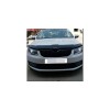 Deflector capota SKODA OCTAVIA 2013-2019