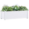 Gossi strat inaltat de gradina, alb, 100 x 43 x 35 cm, pp