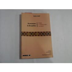 DUMNEZEU LA BRUXELLES - RADU CARP