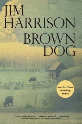Brown Dog foto