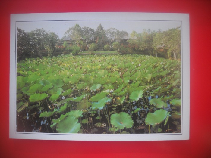 HOPCT 5174 TEMPLUL UBUD-BALI-INDONEZIA-ASIA-NECIRCULATA