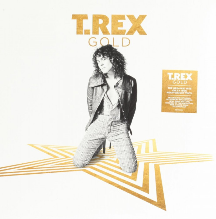 T.Rex Gold LP (2vinyl)