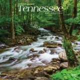 Tennessee Wild &amp; Scenic 2024 Square