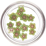 Fructe fimo - carambola tăiate, INGINAILS
