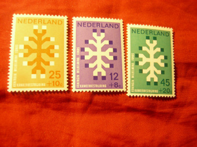 Serie Olanda 1969 - Fondul de Ajutor Regal, 3 valori foto