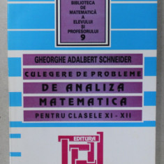 CULEGERE DE PROBLEME DE ANALIZA MATEMATICA , PENTRU CLASELE XI - XII de GHEORGHE ADALBERT SCHNEIDER , 2007