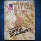 Cumpara ieftin TUNELUL DE LA ARLBERG - ANTHONY FEEK - DELFIN