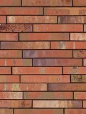Coltar klinker Terca Archipolis Volt Rood, 24x4x2.3 cm