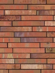Coltar klinker Terca Archipolis Volt Rood, 24x4x2.3 cm foto