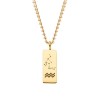 Pandantiv Aur 14K Zodia Varsator, Personalizabil, 2g, 8x22mm