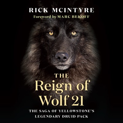The Reign of Wolf 21: The Saga of Yellowstone&amp;#039;s Legendary Druid Pack foto
