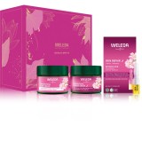 Weleda Wild Rose &amp; White Tea set cadou pentru o piele mai luminoasa