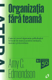Organizatia fara teama - Amy C. Edmondson - Pilot Books