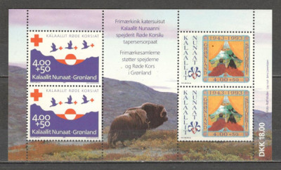 Groenlanda.1993 70 ani Crucea Rosie si 50 ani de cercetasie-Bl. MG.7 foto