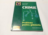 CHIMIE PROBLEME PENTRI GIMNAZIU ILEANA NEATA RF10/0