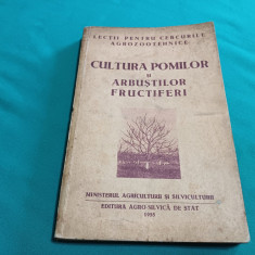 CULTURA POMILOR ȘI ARBUȘTILOR FRUCTIFERI *DOGOREANU V, DODU E/ 1955