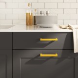 vidaXL M&acirc;nere de dulap, 20 buc., auriu, 128 mm, oțel inoxidabil