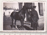 Bnk foto Militar cu cal - interbelica, Alb-Negru, Romania 1900 - 1950