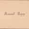 HST A1499 Carte de vizită Romul Popp