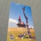 CARTE POSTALA - MUNTELE SEMENIC NECIRCULATA
