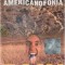 Casetă audio Taxi - Americanofonia, originală