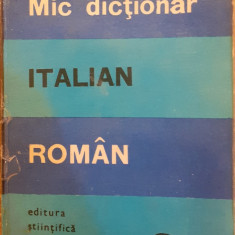 Mic dictionar italian roman