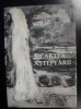 Cartea Asteptarii de Igor Isac - Roman Beletristic, Editura Eikon, 2011