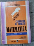 Viorica Elena Carbunaru Culegere de probleme. Matematica clasele V-VIII