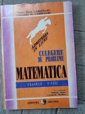 Viorica Elena Carbunaru Culegere de probleme. Matematica clasele V-VIII