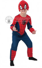 Costume Spiderman Classic Todd foto