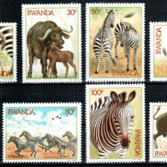 Ruanda Rwanda 1984, Mi #1283-1290 A**, fauna, animale salbatice, MNH, cota 16 €!