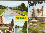 CPI B13358 CARTE POSTALA - ORADEA, MOZAIC, Necirculata, Fotografie