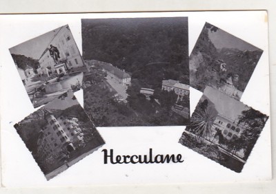 bnk cp Herculane - Vedere - circulata foto