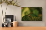 Tablou Canvas, "Insectă pe frunză verde și rugoasă", Insectă, Frunză, Verde, Textură, Natură, Lumină, Detaliu, Culoare, Contrast, Tranquilitate, 39 x