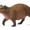 Capibara- Collecta