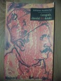 Caragiale, diavolul din detalii- Simona Vasilache