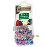 Perle cu Miere si Fructe de Padure 100g