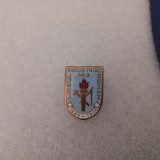 Insigna Liceul Ind. nr.3 Roman
