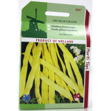 Seminte fasole galbena, lata Goldmarie 100 gr, Holland, Holland Farming
