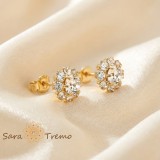 Cercei Steaua Diamantului , Cercei Tip Tija placati 18K Brazilia, zirconia